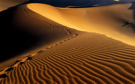 Desert Sand HD wallpaper | 1680x1050 | #29901