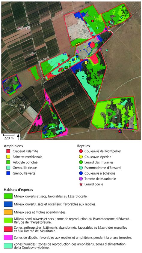 Cartographie Des Habitats Favorables L Herp Tofaune Patrimoniale Et