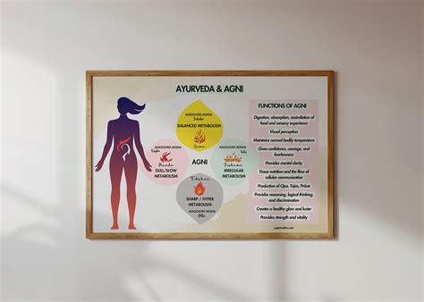 Ayurveda Poster, Ayurveda & Agni Chart, Alternative Medicine Printable ...