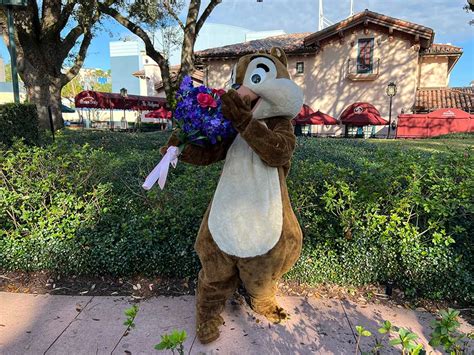 New Disney Character Appearances at Disney’s Hollywood Studios - Disney ...