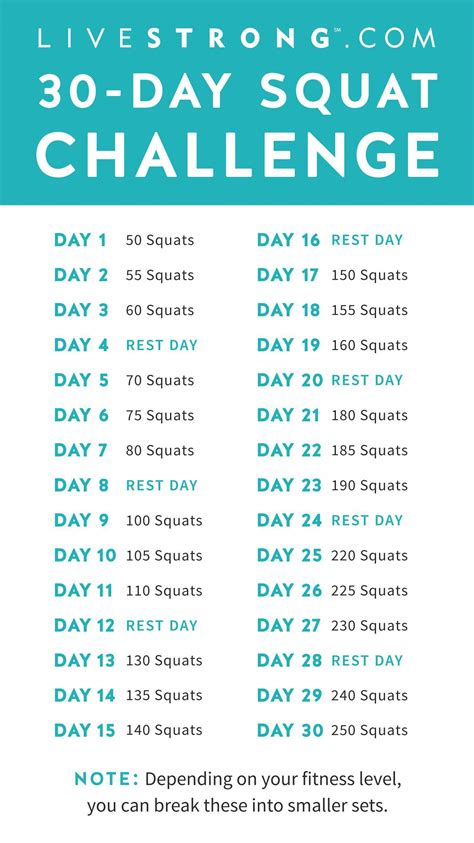 30 Day Squat Challenge – NBKomputer