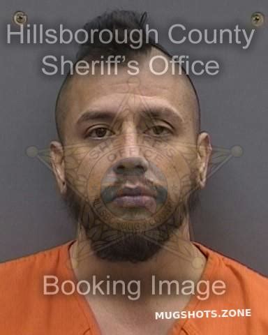 ALVAREZ TORRES JOVANNY 02 02 2024 Hillsborough County Mugshots Zone