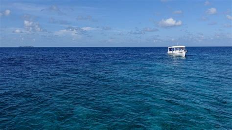 Dive Butler Zen By Mövenpick Maldives Reef Hopping Snorkel Excursion