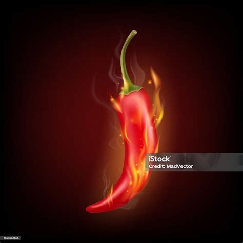 Ilustración De Vector 3d Realista Red Hot Chili Pepper Closeup En Una