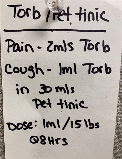 Early Symptoms Of Parvo In Puppies - Pets of Life