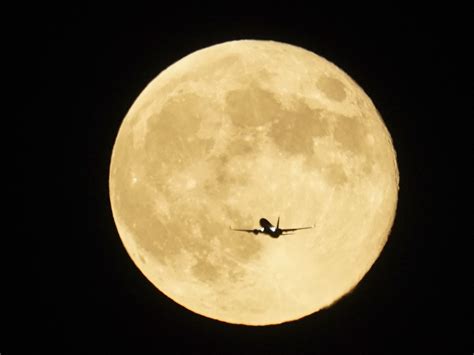 Best Pictures of Supermoon: Biggest Full Moon of 2024 Takes Over the Skies - Newsweek