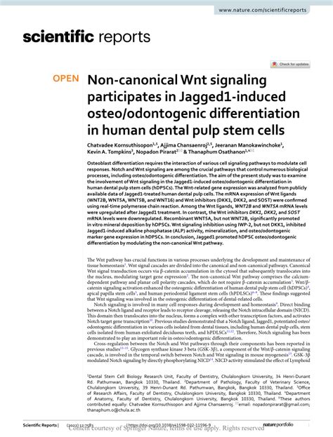 PDF Non Canonical Wnt Signaling Participates In Jagged1 Induced Osteo