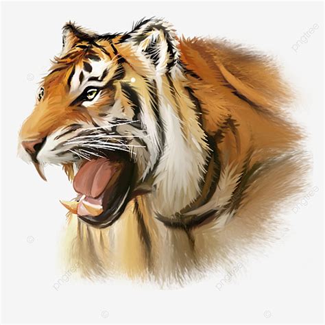 Ferocious Tiger Hd Transparent Hand Painted Head Element Of Ferocious