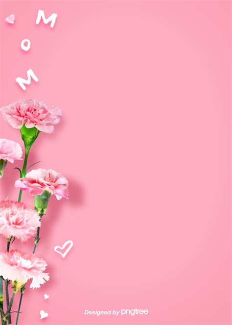 Background Of Mothers Day With Simple Pink Carnation Flowers Wallpaper