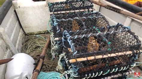 Hauling The Crab And Lobster Pots Drift Netting For Summer Species