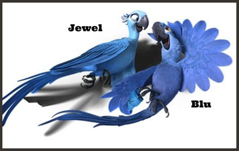 Image - Rio Blu and Jewel Art.jpg | Rio Wiki | Fandom powered by Wikia