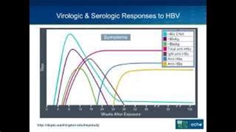 Antibody to Hepatitis B Core Antigen - Alot.com