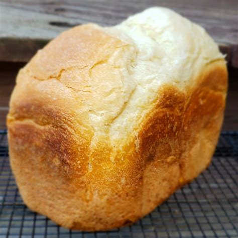 Zojirushi Bread Machine Light Sourdough Bread – Never Free Farm