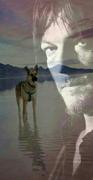 Daryl Dixon And Dog In 2020 The Walking Dead Daryl Dixon Stuff And