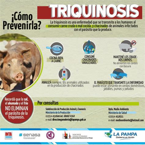 Semana De La Lucha Contra La Triquinosis Pautas De Prevenci N Plan B