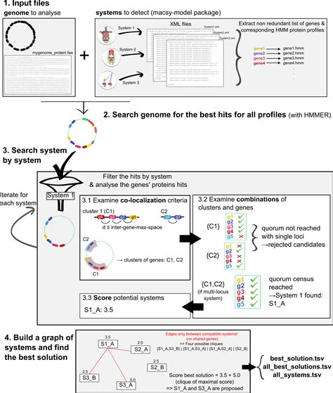 Genome Annotation Sophie Abby