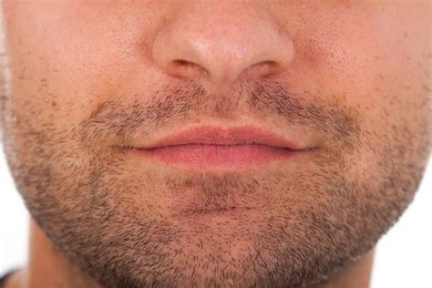 Top 8 Melhores Tipos De Barba Para Rosto Redondo Como Ter Barba