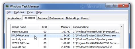 Is WUDFHost.exe safe? How to remove a WUDFHost error?