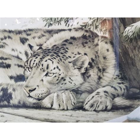 Snow Leopard Engraving Print By Guy Coheleach Limited Print Chairish