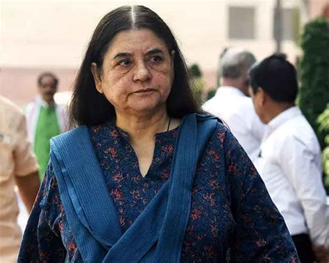 Cant Think Of One Other Reason Maneka Gandhi On If Writings Critical