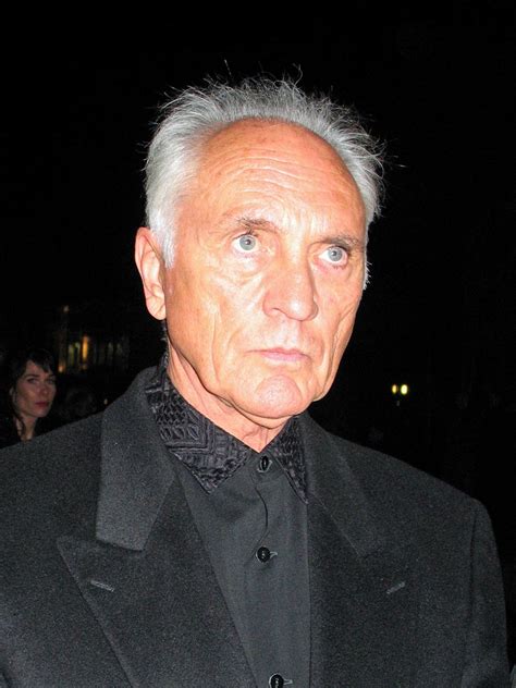 Terence Stamp Store Norske Leksikon