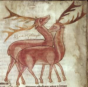 Medieval Animals – Dēor-hord: a medieval and modern bestiary