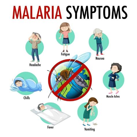 Malaria symptoms information infographic | Malaria symptoms, Malaria, Medical posters