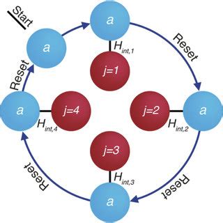 Schematic Representation Of The Sequential Interaction Between A Single