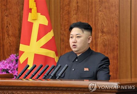 北朝鮮の金正恩体制 発足1年で成果＝米専門家 聯合ニュース