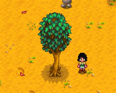 Stardew Valley Maple Trees: Everything You Need To Know - Stardew | Guide