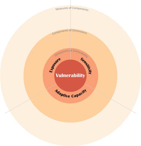 Assessing Vulnerability The Vulnerability Scoping Diagram