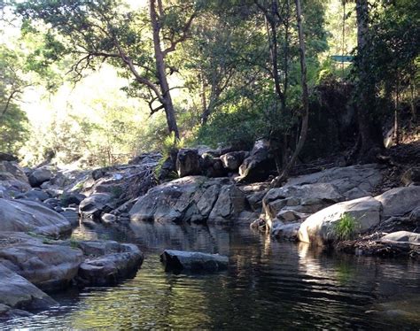 A secret swimming hole at Cedar Creek | Nature Play QLD