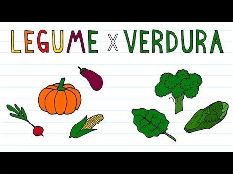 Qual A Diferen A Entre Verdura X Legume Youtube Legumes Verduras