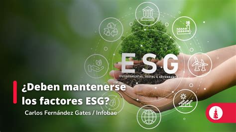 ¿deben Mantenerse Los Factores Esg Conexión Esan