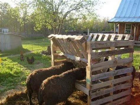 Incredible And Accessible Homemade Hay Feeder From Pallets Diy Projects For Everyone