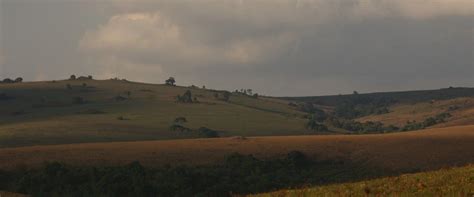 Filming In Nyika National Park Reliable Fixer In Malawi