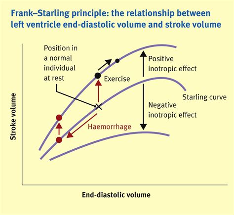 The Cardiac Cycle Anaesthesia Intensive Care Medicine