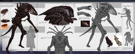 Alien Xenomorph: variant concept design by Arb Paninken : r/ImaginaryXenoverse