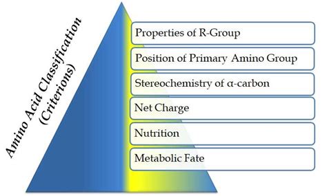 Classification Of Amino Acids In Biochemistry Easybiologyclass