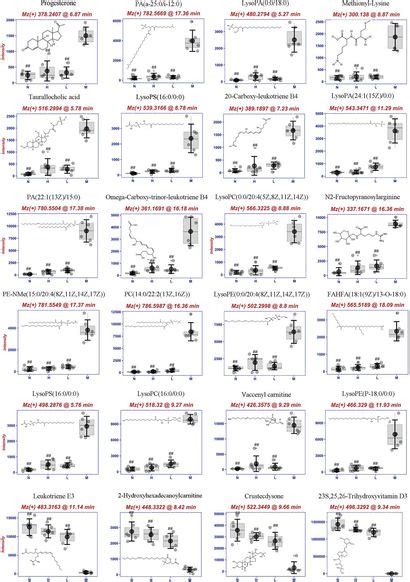 Frontiers Andrographolide Exerted Anti Inflammatory Effects Thereby