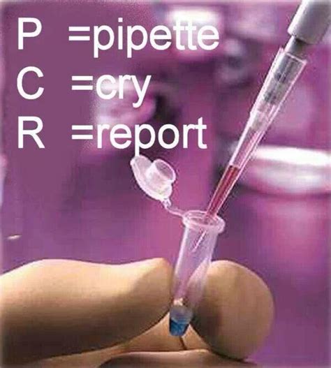 Pcr Science Rules Science Nerd Weird Science Science Humor Science