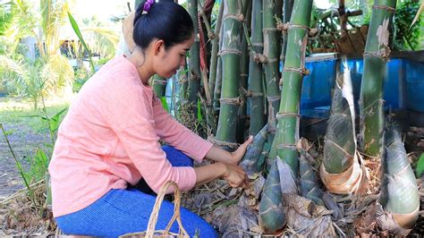 Cooking Bamboo Shoots With Chili Bamboo Shoots In My Village Youtube