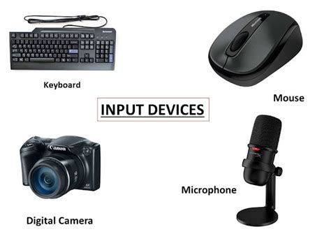 Input Device And Output Device