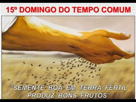 Domingo Tempo Comum Semente Boa Em Terra F Rtil Produz Bons