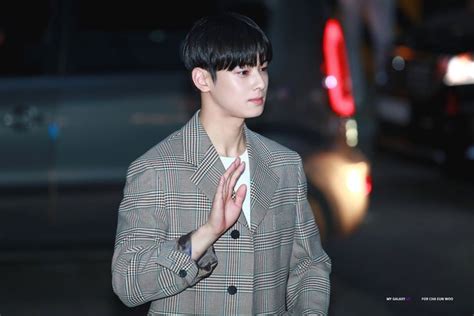 Cha Eun Woo Panosundaki Pin