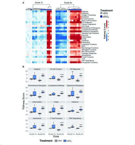 Lung Tissue Gene Expression Pathway Z Scores For Mice That Received Download Scientific