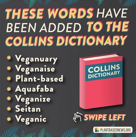 New words added to the Collins English Dictionary