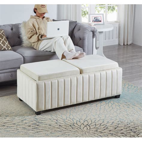 Latitude Run Table Basse Avec Rangement Tekhi Wayfair Canada