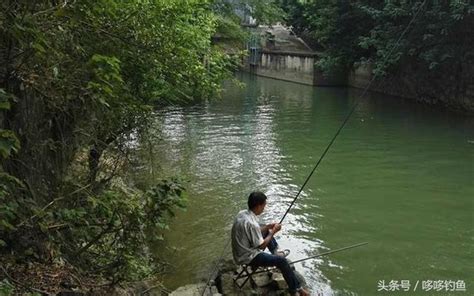 四季釣魚的最佳出釣時機，值得收藏！ 每日頭條