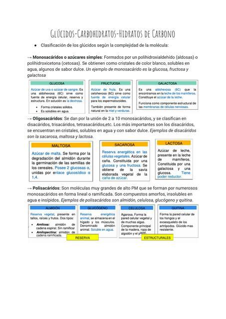 Gl Cidos Carbohidraos Hidratos De Carbono Julieta Cruz Udocz